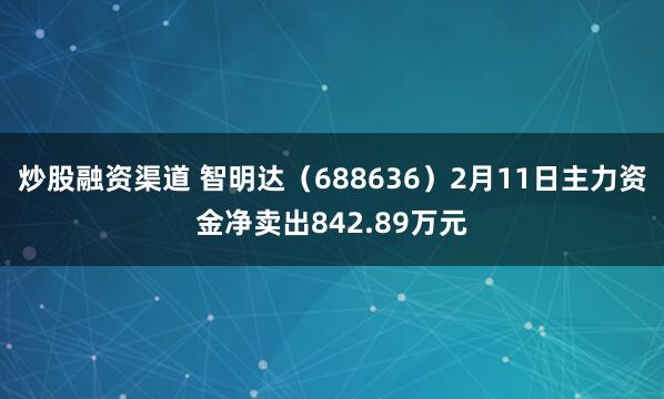 炒股融资渠道 智明达（688636）2月11日主力资金净卖出842.89万元