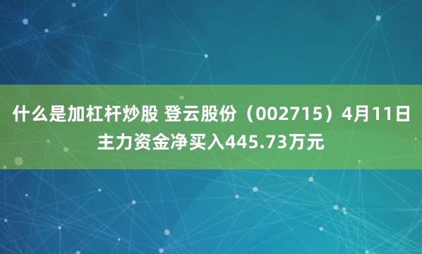 什么是加杠杆炒股 登云股份（002715）4月11日主力资金净买入445.73万元