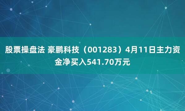 股票操盘法 豪鹏科技（001283）4月11日主力资金净买入541.70万元