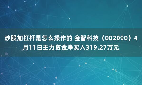 炒股加杠杆是怎么操作的 金智科技（002090）4月11日主力资金净买入319.27万元