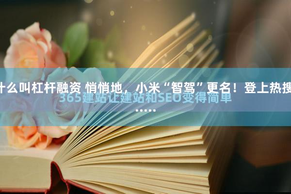 什么叫杠杆融资 悄悄地，小米“智驾”更名！登上热搜......