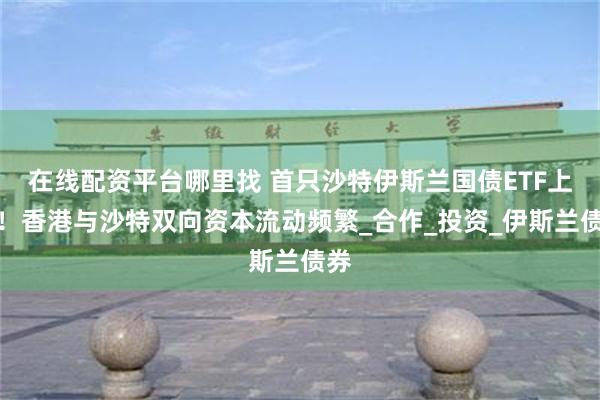 在线配资平台哪里找 首只沙特伊斯兰国债ETF上市！香港与沙特双向资本流动频繁_合作_投资_伊斯兰债券