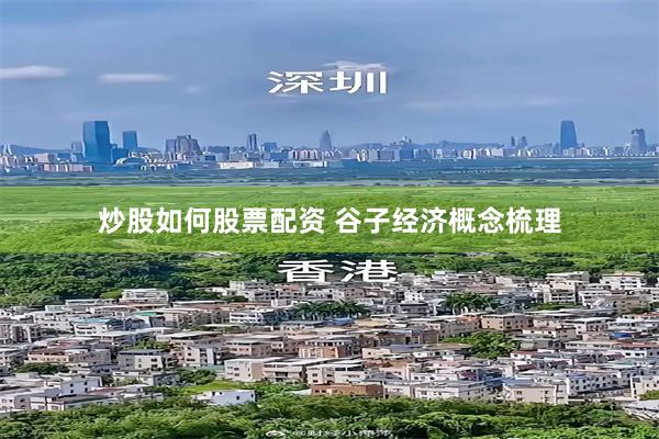 炒股如何股票配资 谷子经济概念梳理