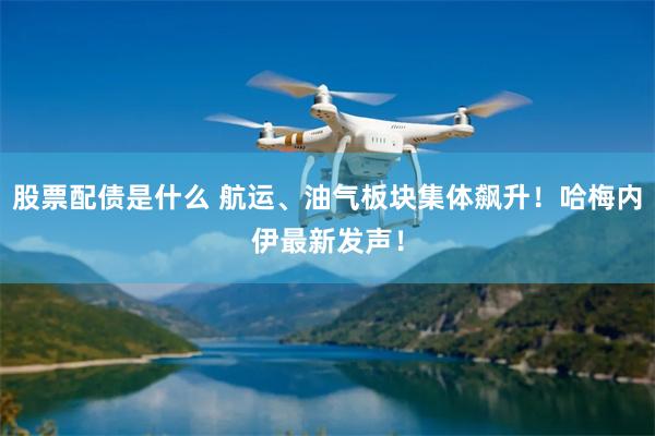 股票配债是什么 航运、油气板块集体飙升！哈梅内伊最新发声！