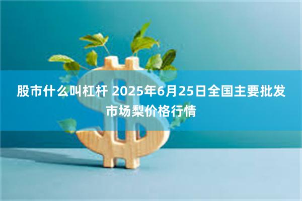 股市什么叫杠杆 2025年6月25日全国主要批发市场梨价格行情