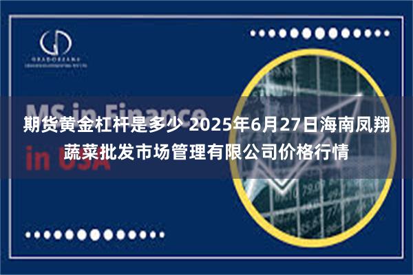 期货黄金杠杆是多少 2025年6月27日海南凤翔蔬菜批发市场管理有限公司价格行情