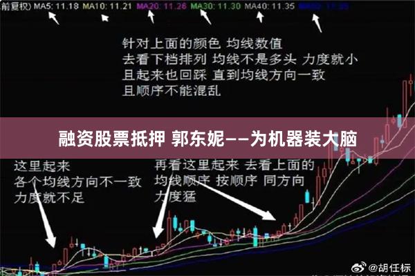 融资股票抵押 郭东妮——为机器装大脑